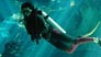 Scuba Diving