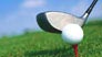 Golfs and Driving Ranges