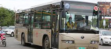 Phnom Penh City Bus