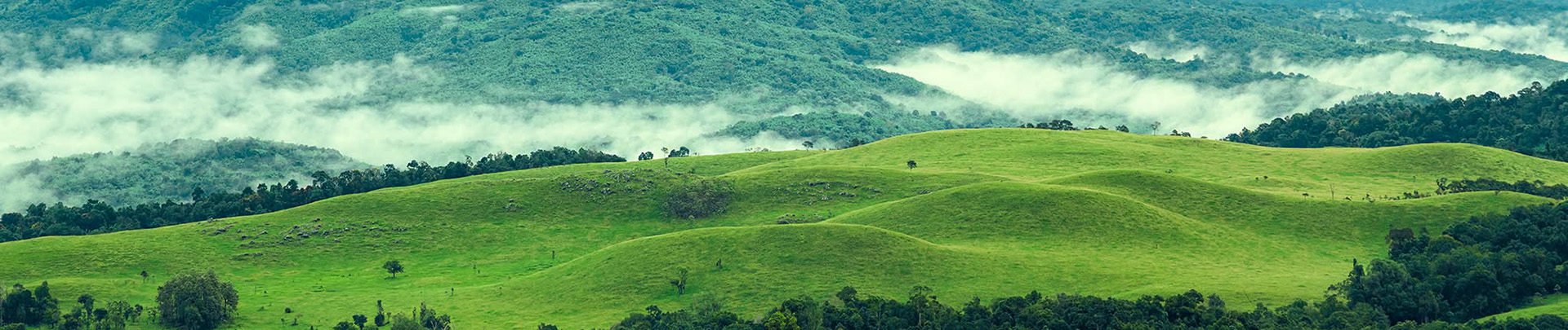 Virachey National Park